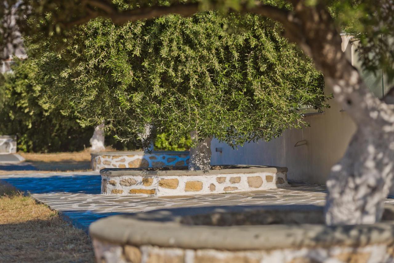 Olive Studios Karpathos Studio #4 Extérieur photo