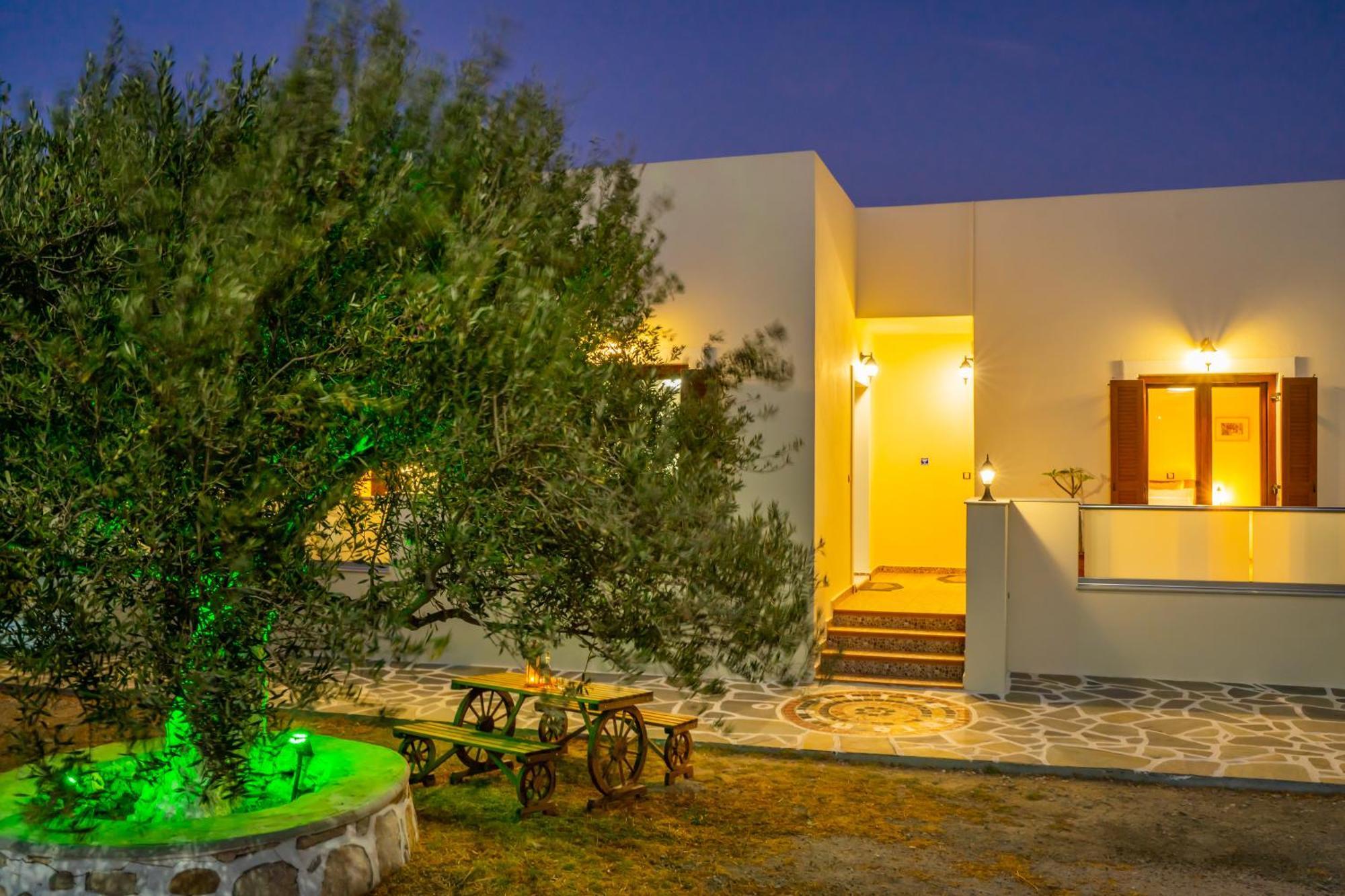 Olive Studios Karpathos Studio #4 Extérieur photo