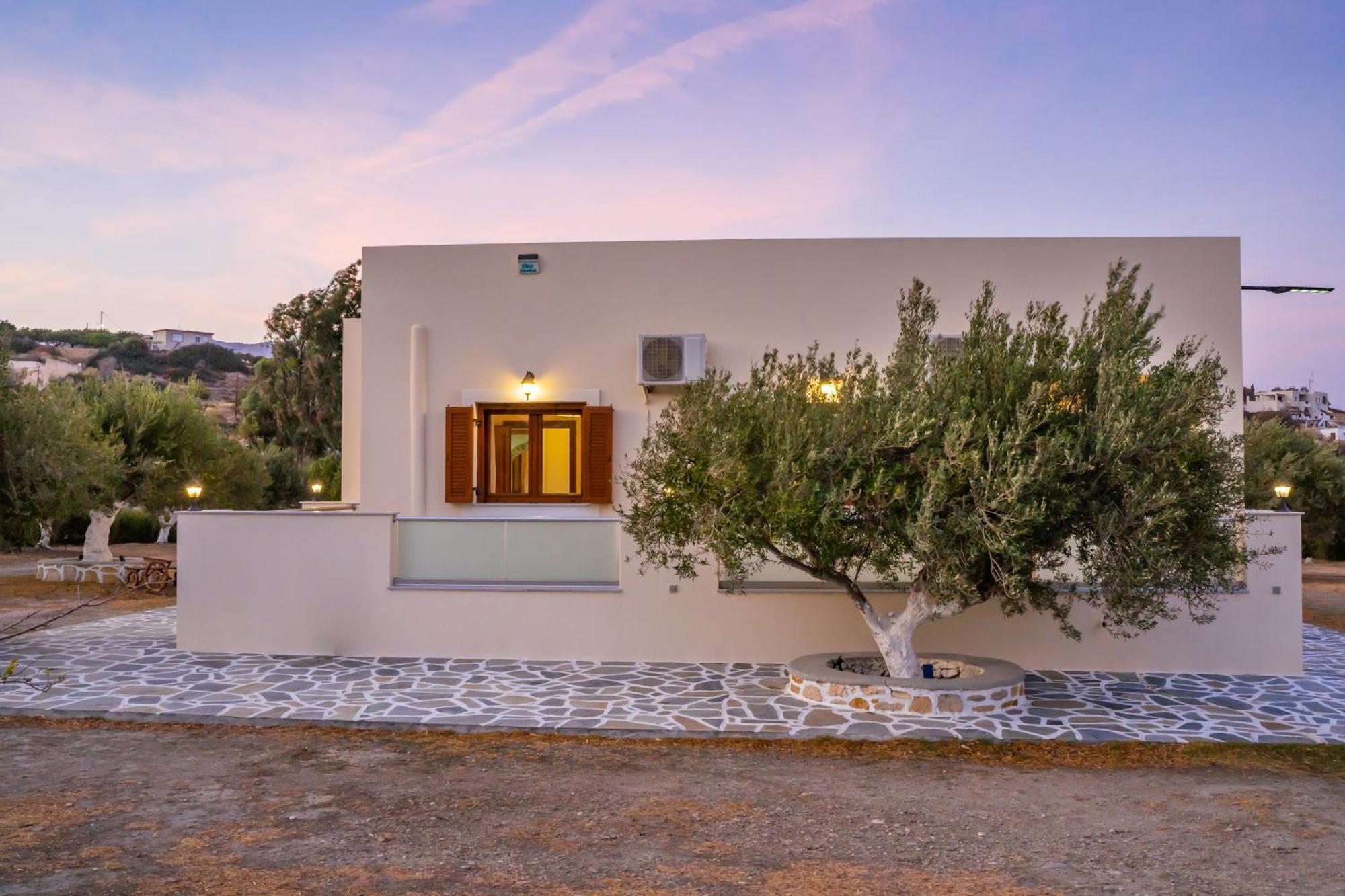Olive Studios Karpathos Studio #4 Extérieur photo