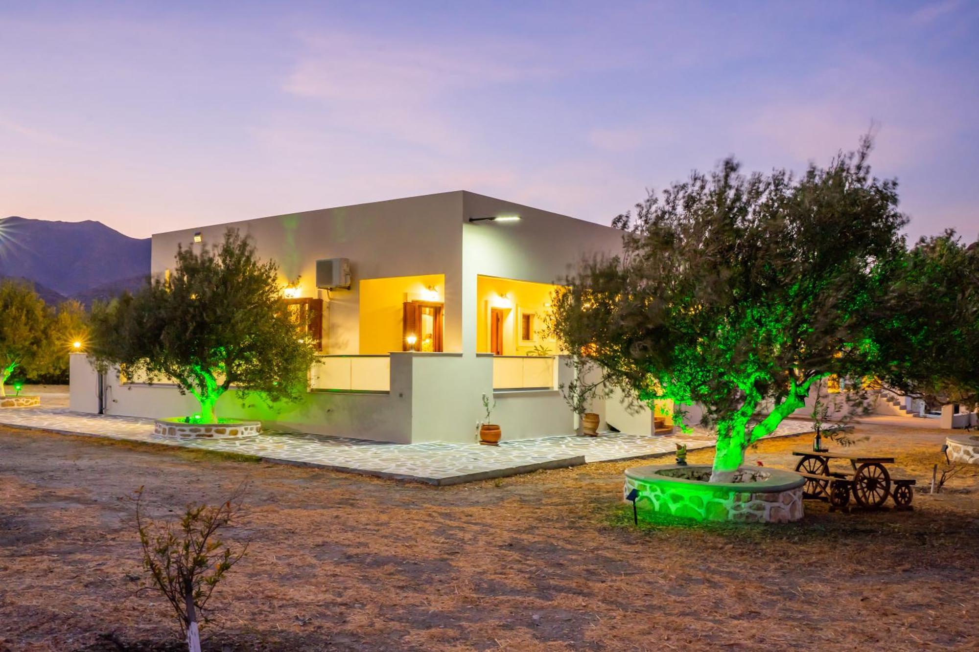 Olive Studios Karpathos Studio #4 Extérieur photo