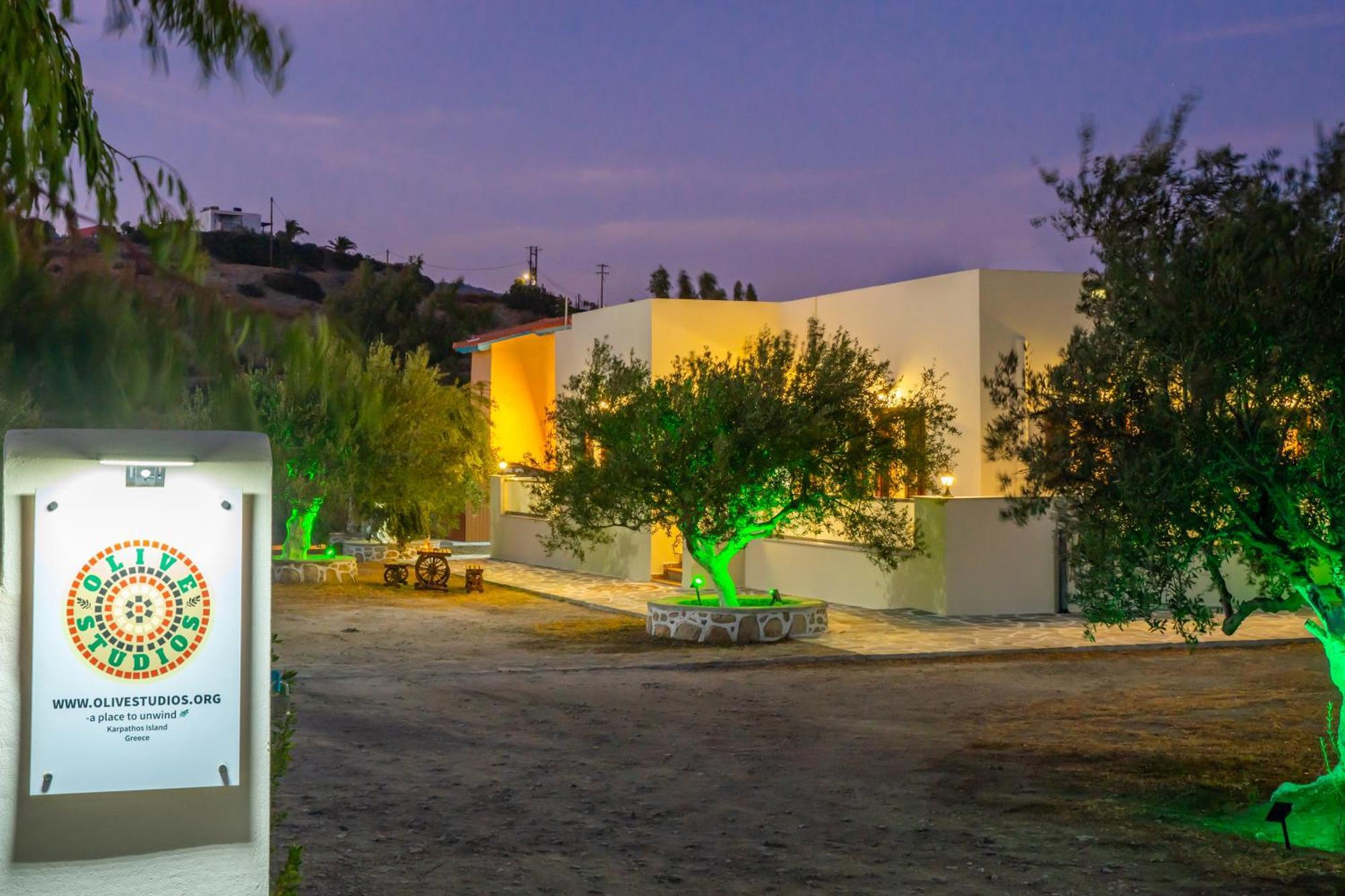 Olive Studios Karpathos Studio #4 Extérieur photo